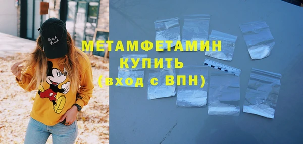стаф Инта