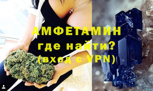 стаф Инта