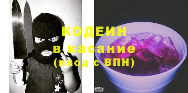 стаф Инта