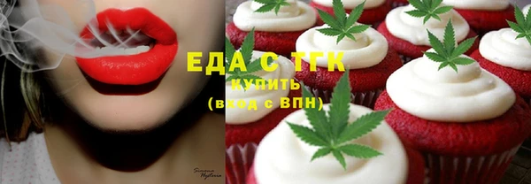 стаф Инта