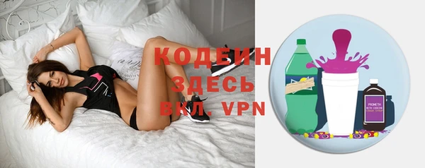 стаф Инта