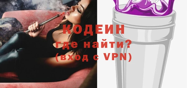 стаф Инта