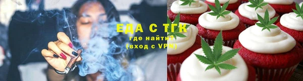 стаф Инта