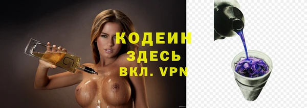 стаф Инта