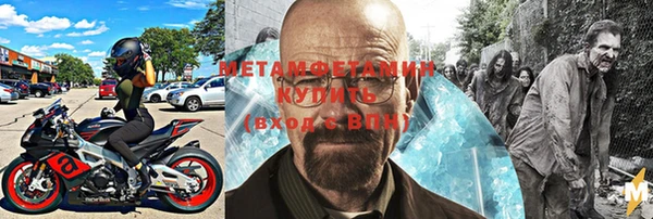 стаф Инта
