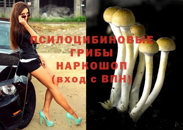 герыч Инсар