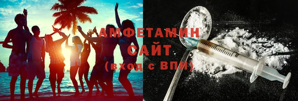 стаф Инта