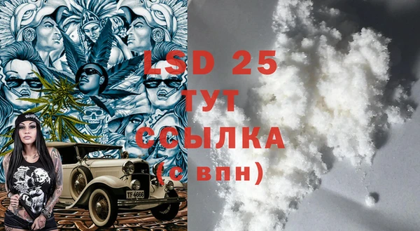 стаф Инта