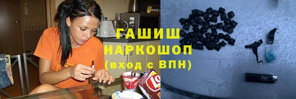 стаф Инта