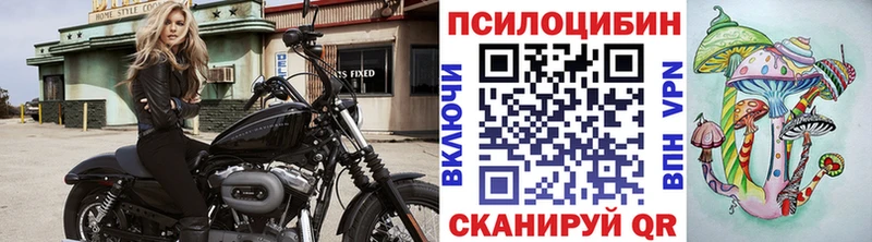 kraken зеркало Ишимбай Галлюциногенные грибы Psilocybine cubensis